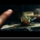 Les Tortues Ninja : un nouveau teaser pour le film de Michael Bay