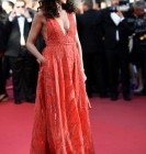 Festival de Cannes 2015 : que de belles tenues et du beau monde