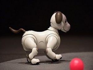Aibo, le chien robot : Sony propose une version amelioree de l appareil
