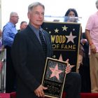 « Proies » : Mark Harmon produira une série basée sur les livres