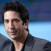 « Intelligence » : David Schwimmer jouera dans la série