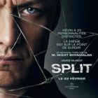 Split refait parler de lui sur la Toile