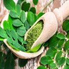 Les effets miraculeux du moringa sur l’organisme