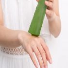 L’aloe vera et ses vertus sur la peau