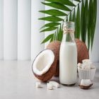 Les bienfaits nutritionnels du lait de coco sur la santé et le corps