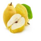 Coing : quelques atouts de ce fruit du cognassier