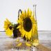 Les vertus beauté de l’huile de tournesol