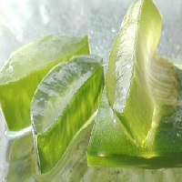 Des morceaux d’Aloe vera