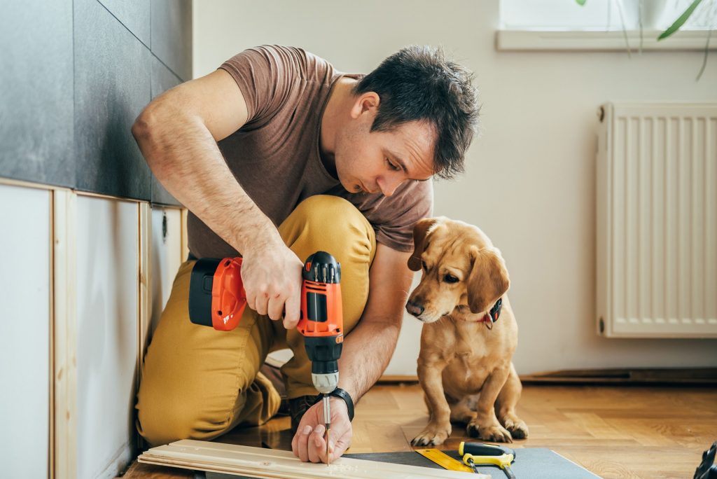 Un homme aménage un espace intérieur avec son chien, illustrant l’influence animaux compagnie sur les projets immobiliers.