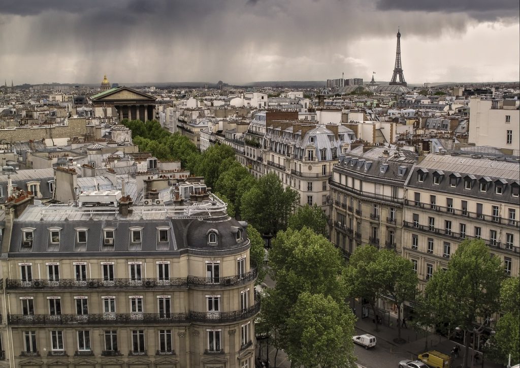 Vue du ciel de la ville de Paris avec ses batiments et vegetations